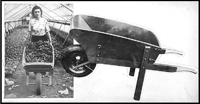 A later Hampton Pattern Wheelbarrow seen in use inside a greenhouse.