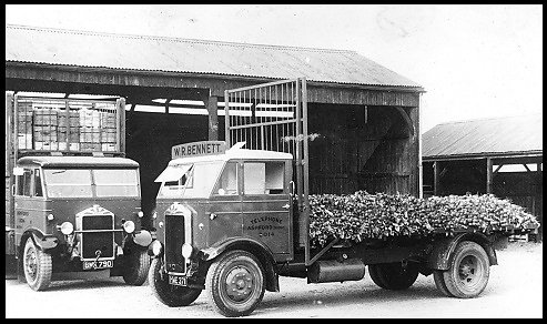 An Albion lorry loaded with root vegetables belonging to W.R. Bennett of Bedfont.